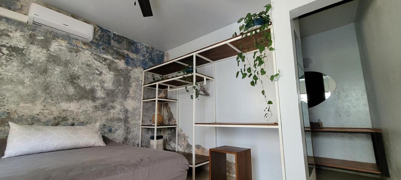 The Stone Elephant Meditative Stay 'In Town And Quiet' With Kitchen 산 후안 델 수르 외부 사진